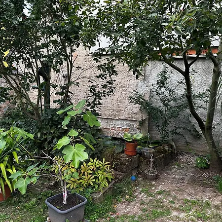 Apartment Himmelswege Nebra