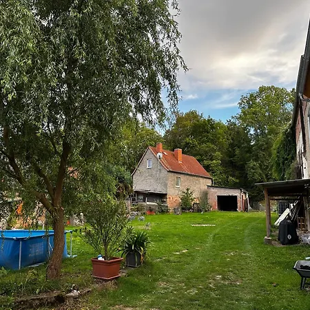 Himmelswege Nebra