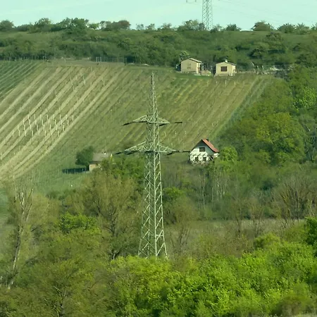 Himmelswege Nebra